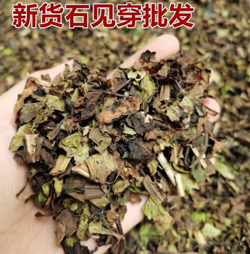 石见穿中药材野生石打穿今年新货石见川