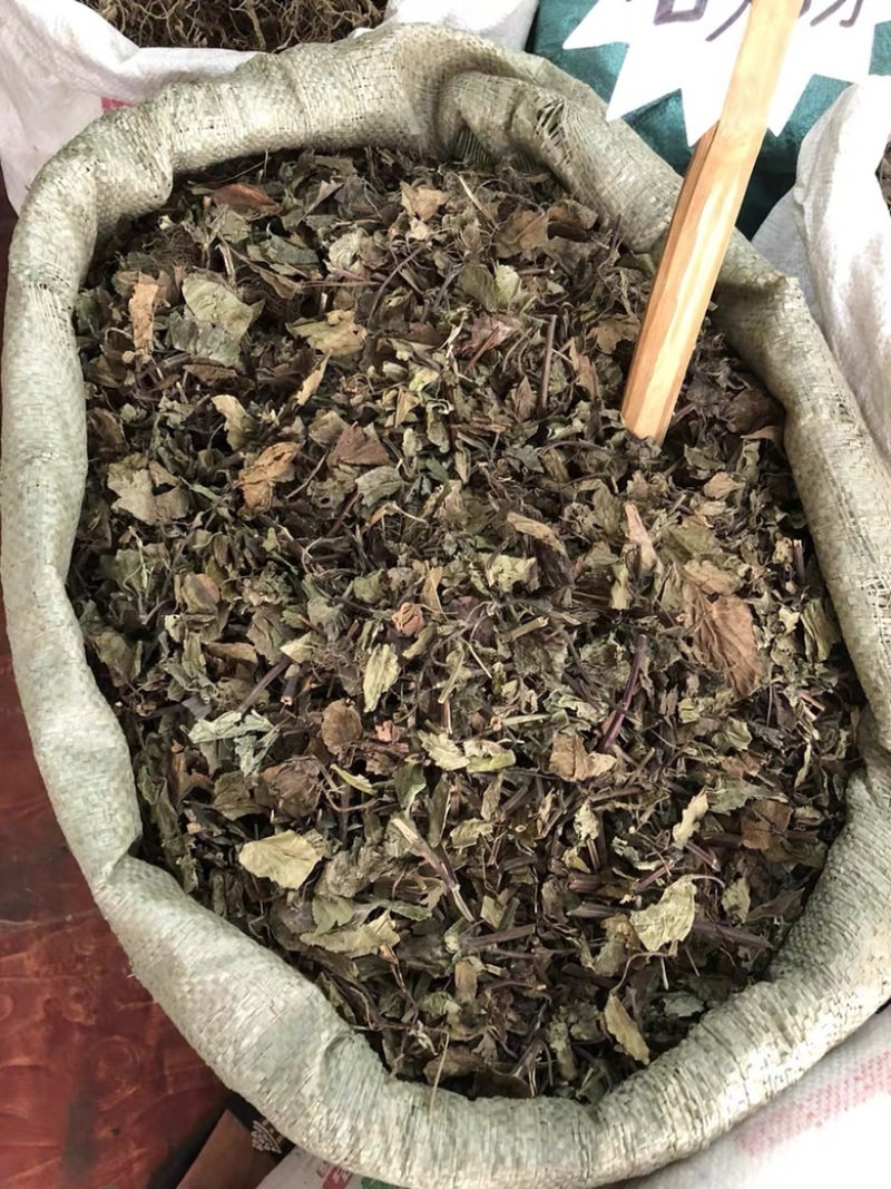 石见穿中药材野生石打穿今年新货石见川