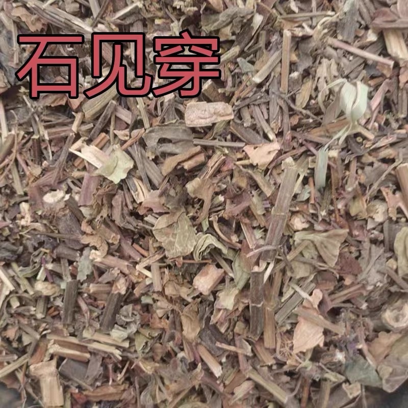石见穿中药材野生石打穿今年新货石见川