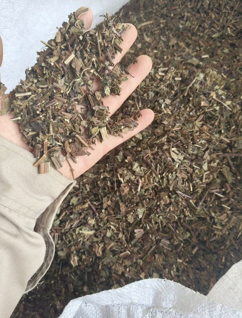 石见穿中药材野生石打穿今年新货石见川