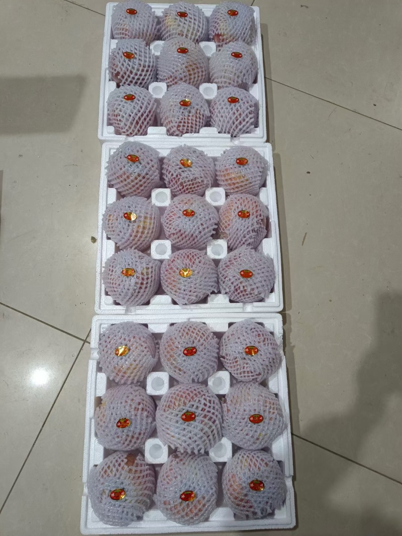 红富士苹果