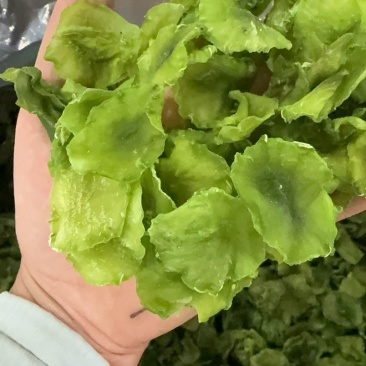 新货莴笋片，厂家直销
