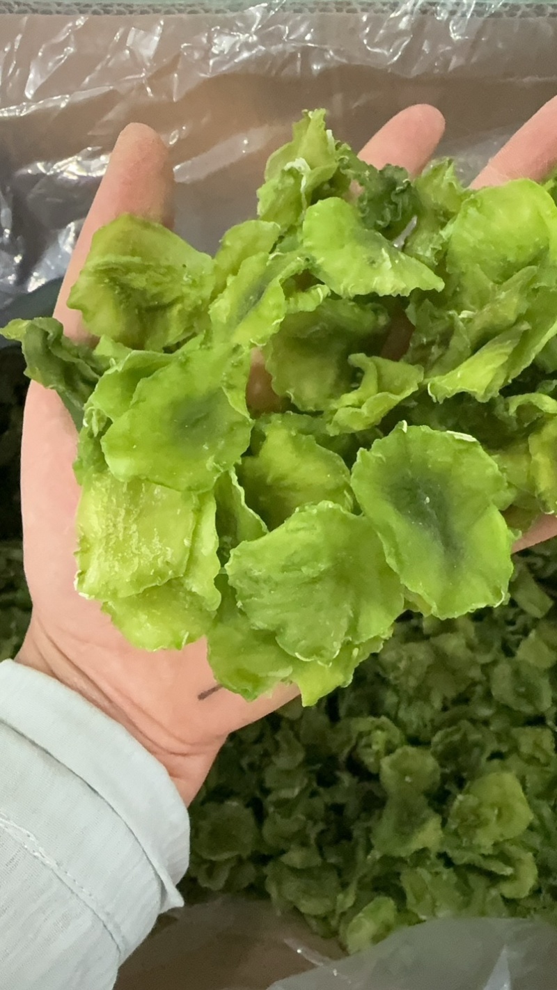 新货莴笋片，厂家直销