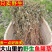 四川野生鱼腥草种植鱼腥草各种规格一手货源