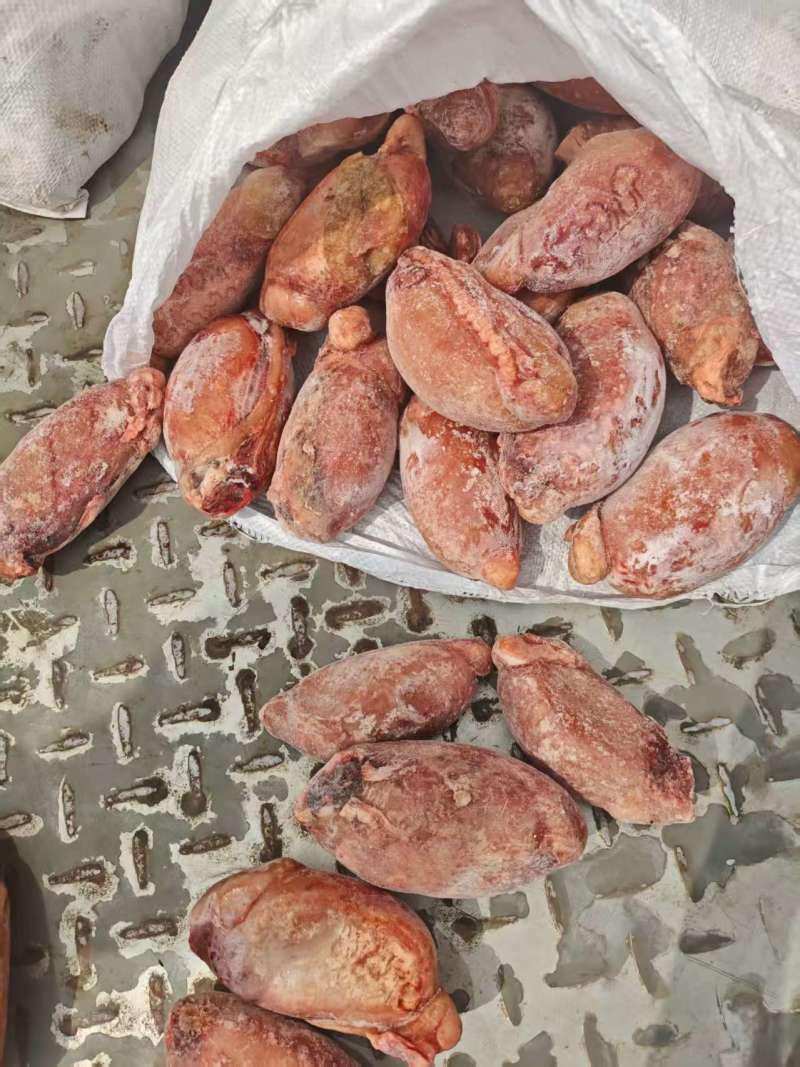 国产单冻大牛蛋，单冻牛宝，质量没问题一手货源，全国发货