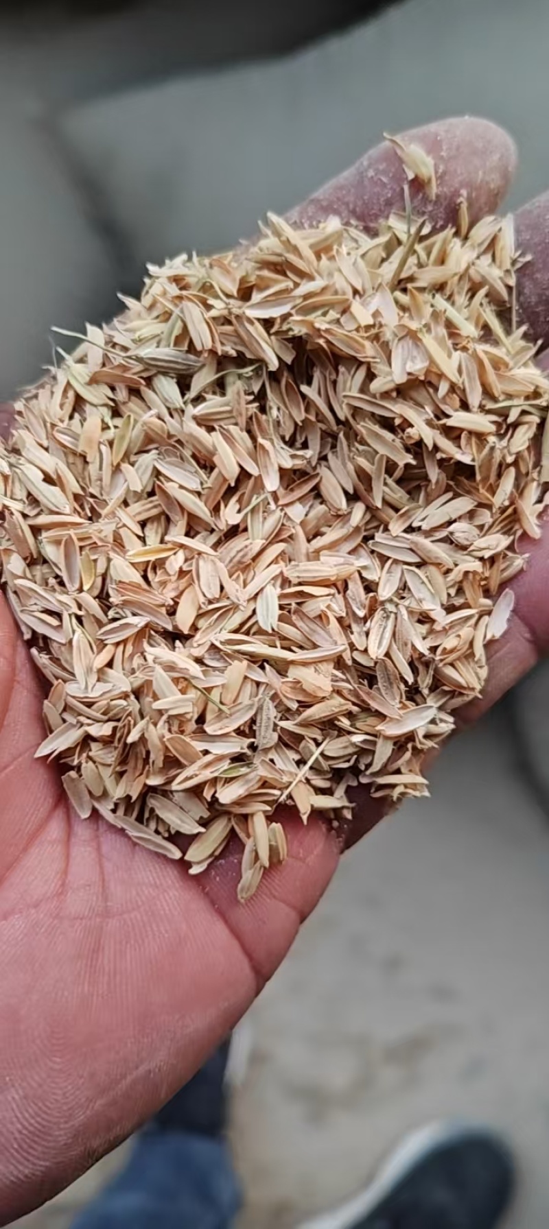 过筛长粒稻壳