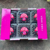 文山红果参