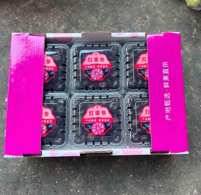 文山红果参
