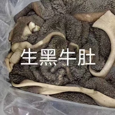 生牛肚