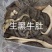 生牛肚