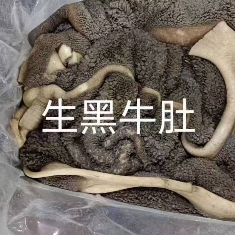 生牛肚