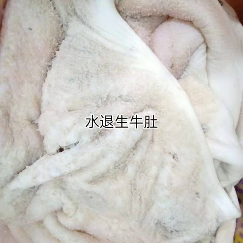 水生牛肚