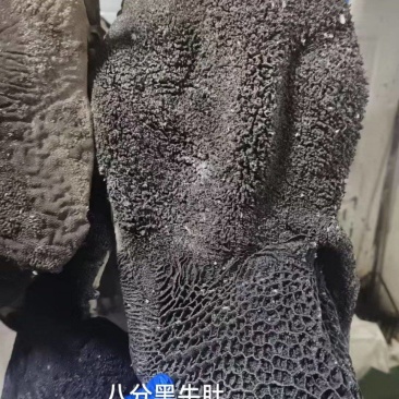 八分牛肚