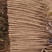 河南安阳双棒山药大量接单产地直发量大从优欢迎下单