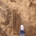 河南安阳双棒山药大量接单产地直发量大从优欢迎下单