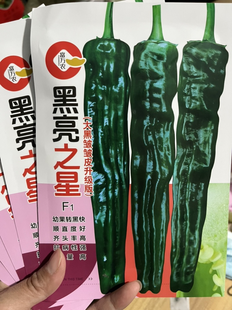 黑亮之星皱皮椒种子中早熟香辣大果型皱皮品种种子
