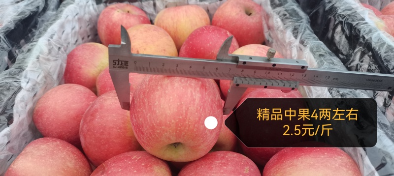 红富士苹果