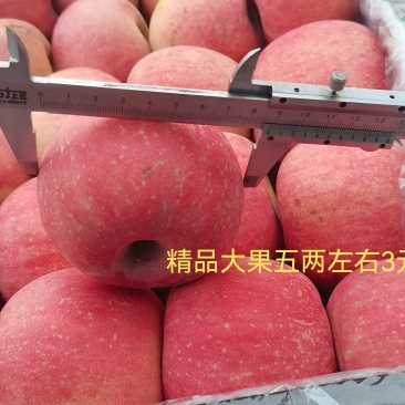 红富士苹果