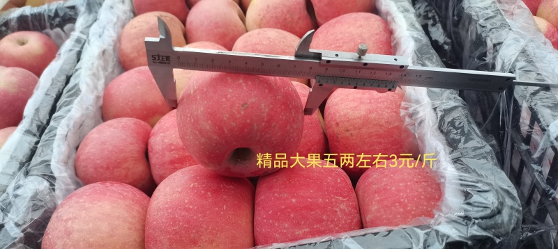红富士苹果