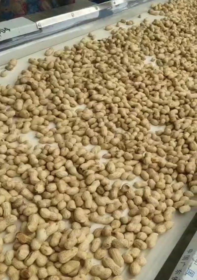 熟花生/奶香味，蒜香味，核桃味，卤味花生，源头工厂直供