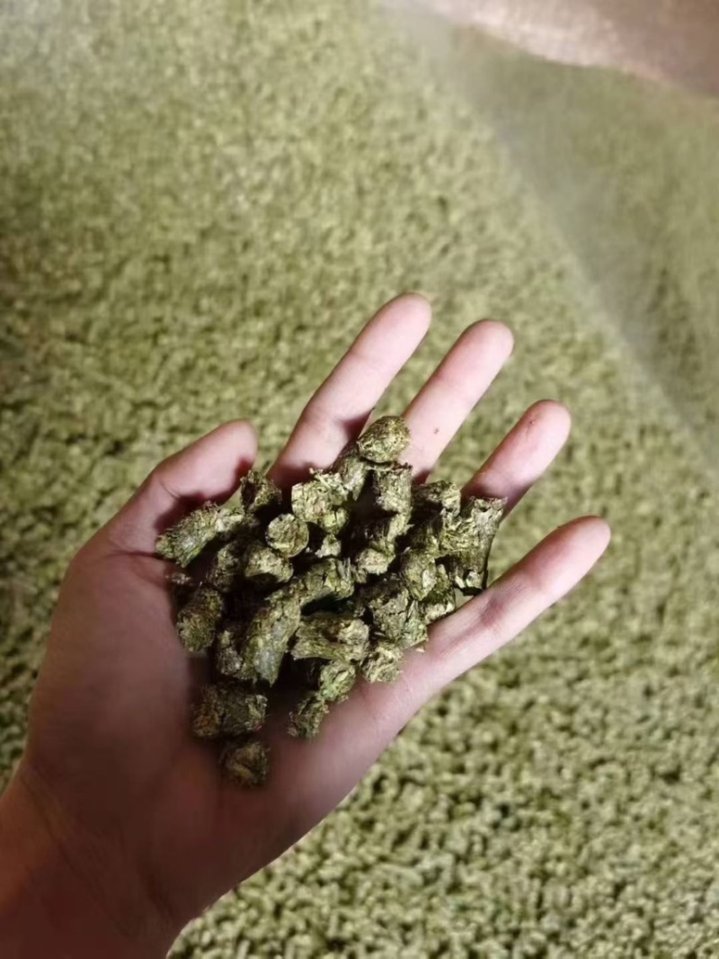 大量辣椒杆颗粒，常年生产，质量稳定，用于各养殖场和饲料厂