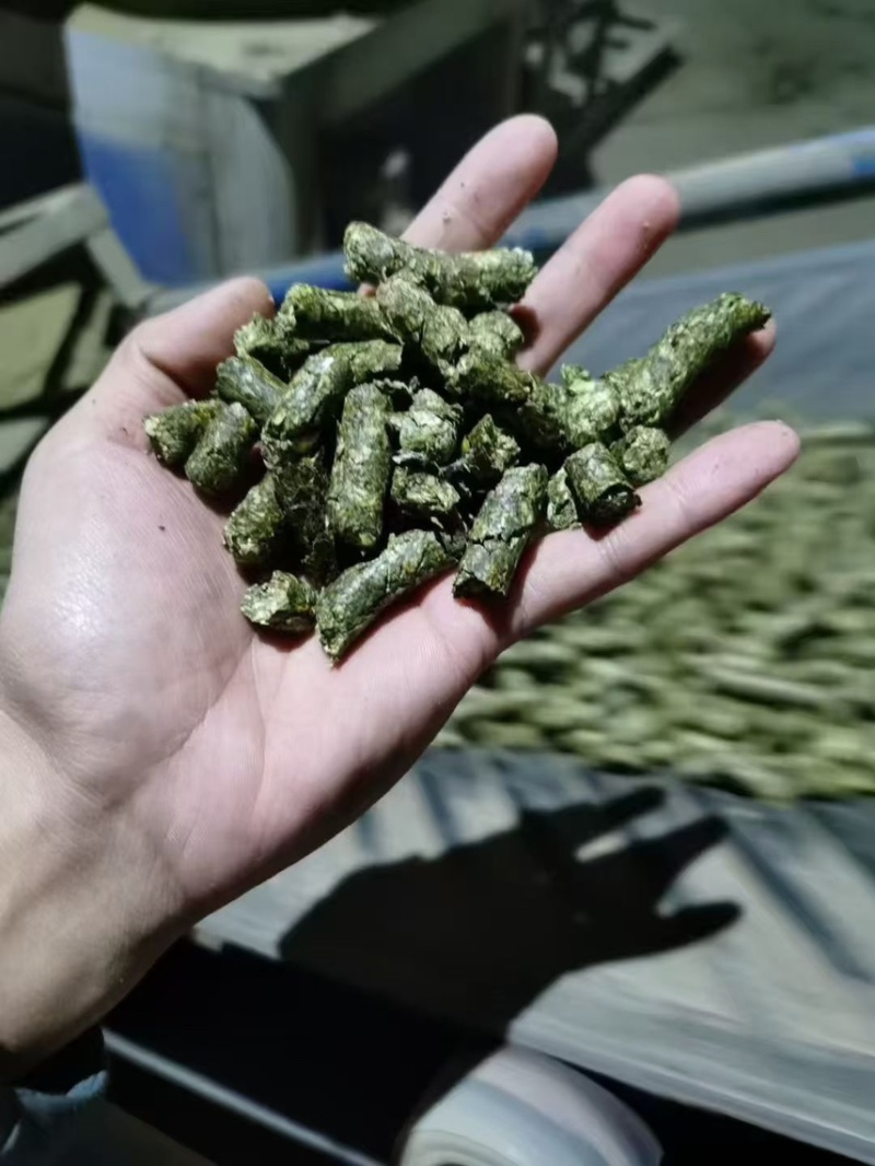 大量辣椒杆颗粒，常年生产，质量稳定，用于各养殖场和饲料厂