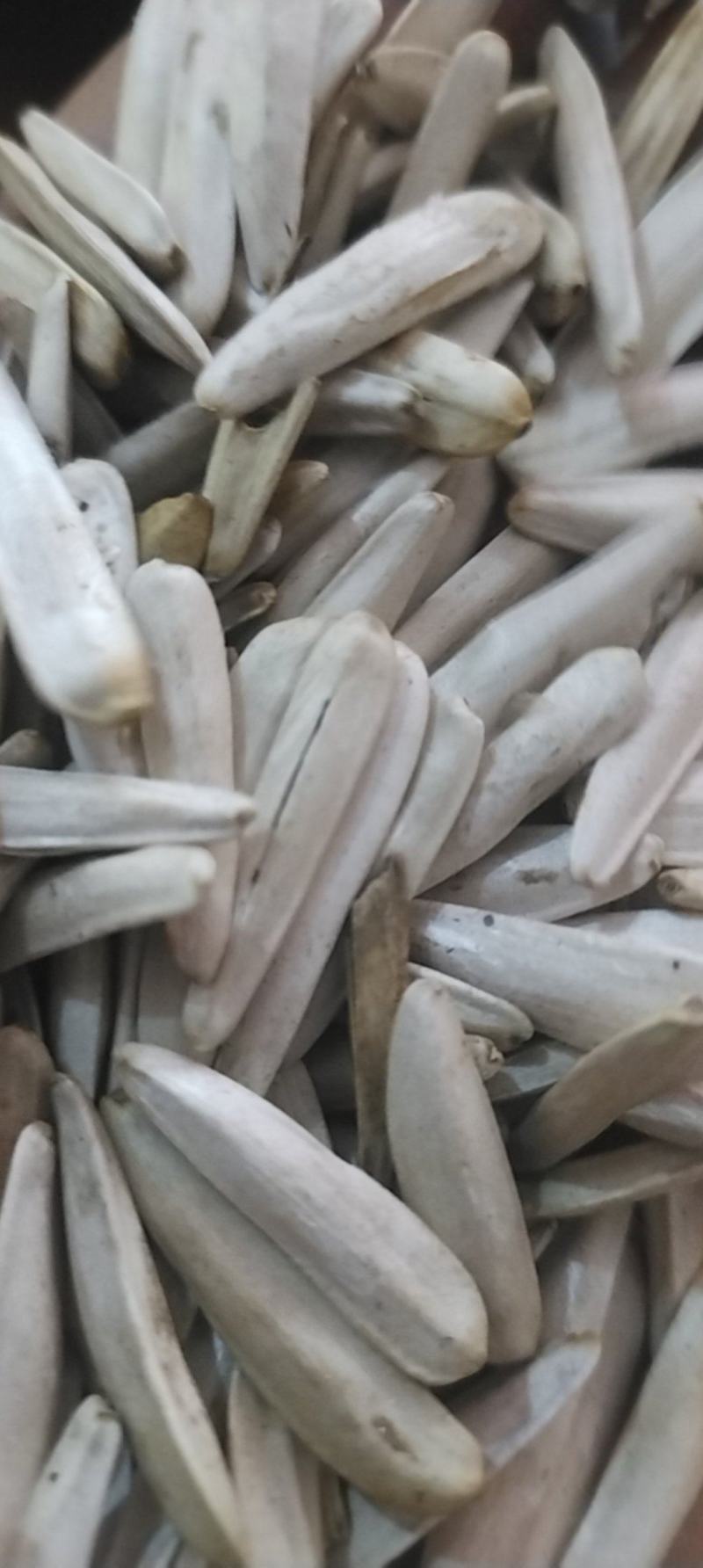 牙签瓜子