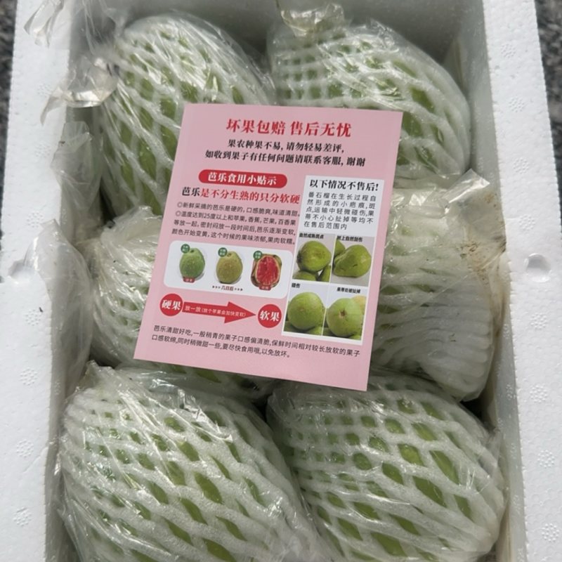 红心白心芭乐番石榴一件代发