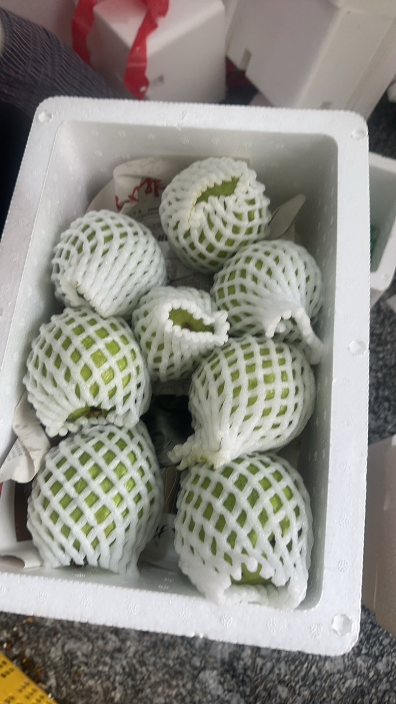红心白心芭乐番石榴一件代发