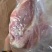 【熟牛头肉】包邮全熟牛嘴肉白水卤牛嘴肉全熟白水卤牛嘴巴肉