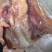 【熟牛头肉】包邮全熟牛嘴肉白水卤牛嘴肉全熟白水卤牛嘴巴肉