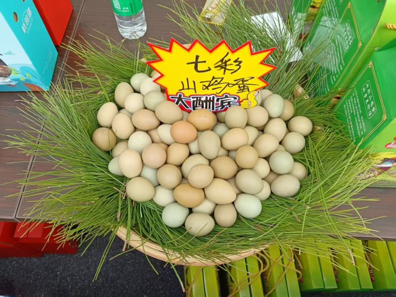 七彩山鸡蛋