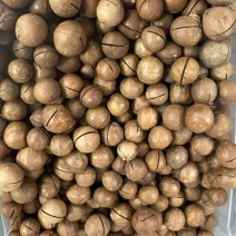 夏威夷果各种规格电商货支持代发
