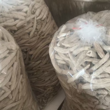 冬荪出售，干320斤，半斤起发