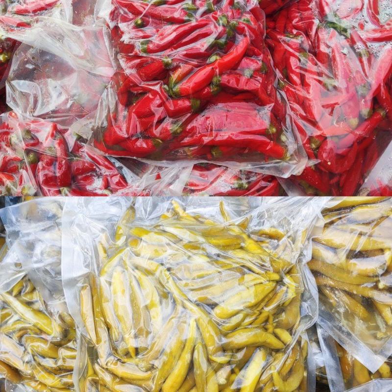 泡辣椒，杭椒，红杭椒，线椒，好产量，好品质，加工厂直供