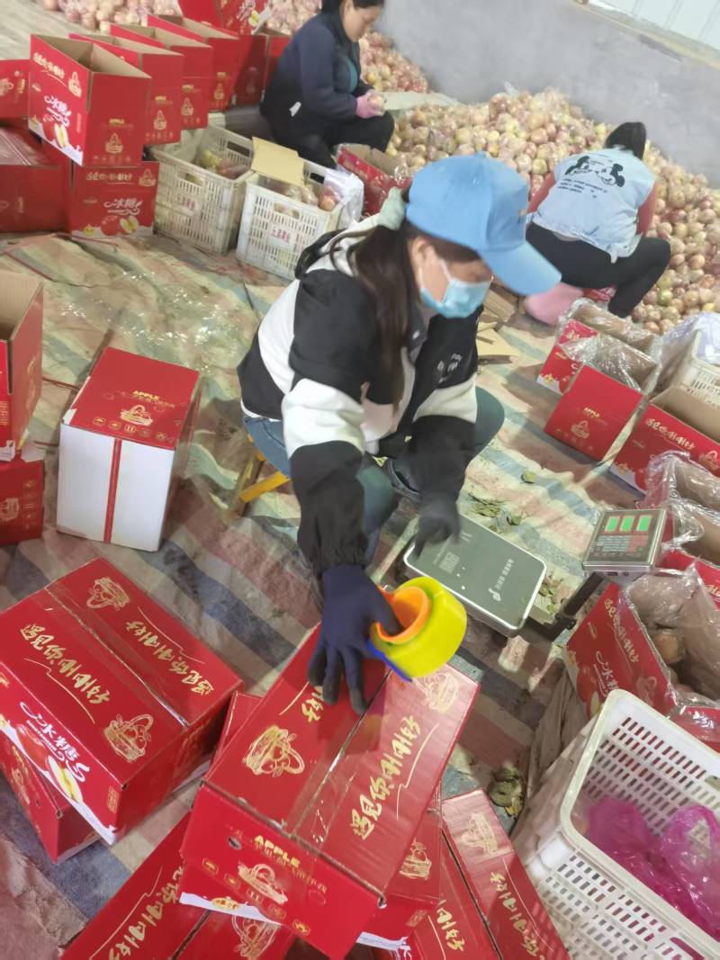 山西运城红富士苹果