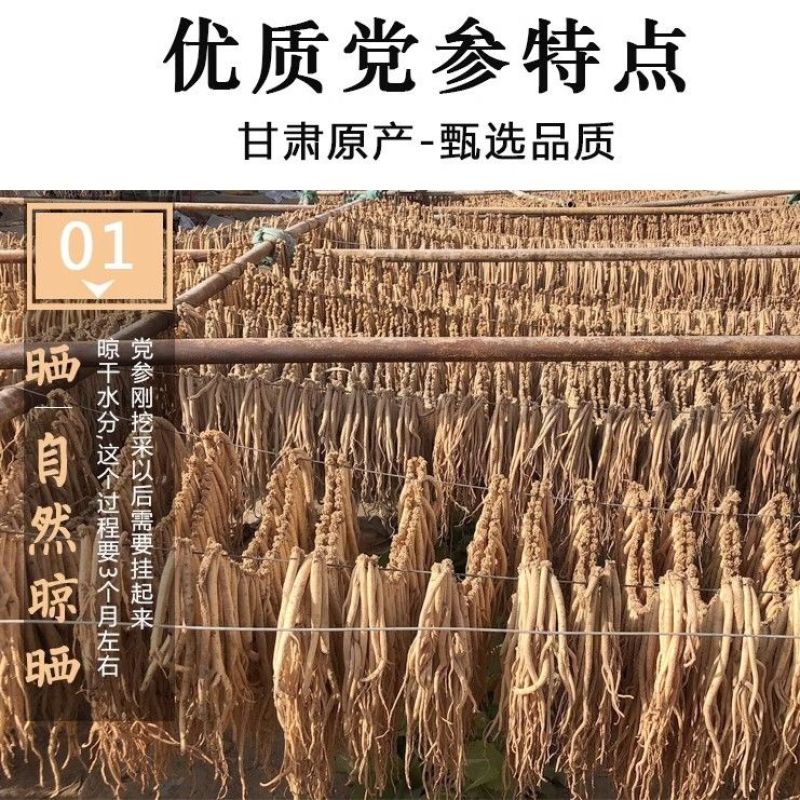 岷农人正品党参条干党参无硫熏中药材正宗甘肃党参假一赔十