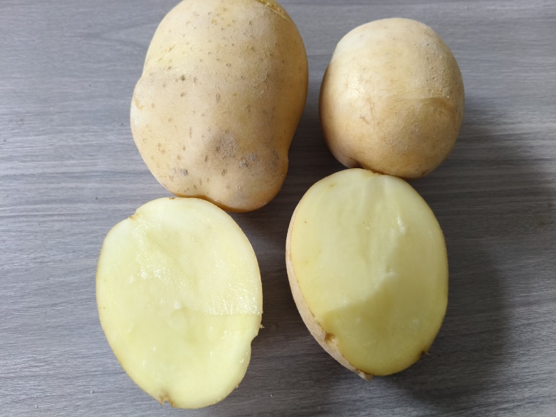 甘肃沃土新土豆上市黄皮黄心货源充足