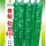 善椒软皮505，早熟，翠绿，大果，一代杂交，