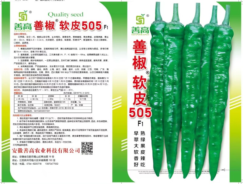 善椒软皮505，早熟，翠绿，大果，一代杂交，