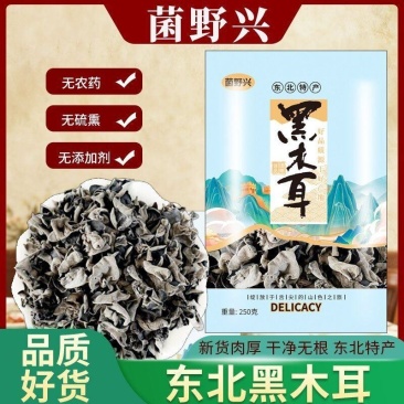 【净重半斤】东北木耳特产黑木耳长白山木耳干椴木耳无根特产