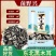 【净重半斤】东北木耳特产黑木耳长白山木耳干椴木耳无根特产
