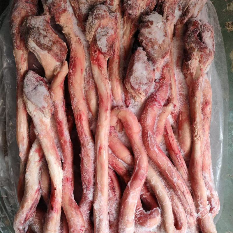 精品小根牛鞭