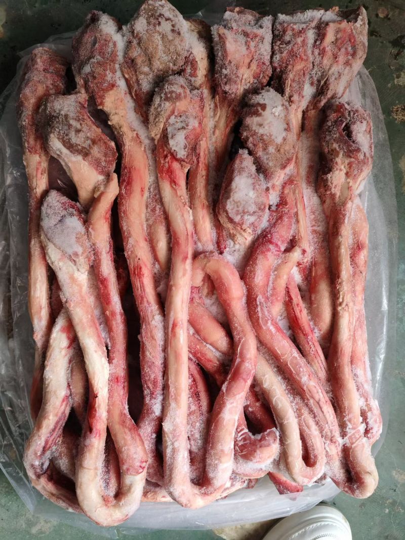 精品小根牛鞭