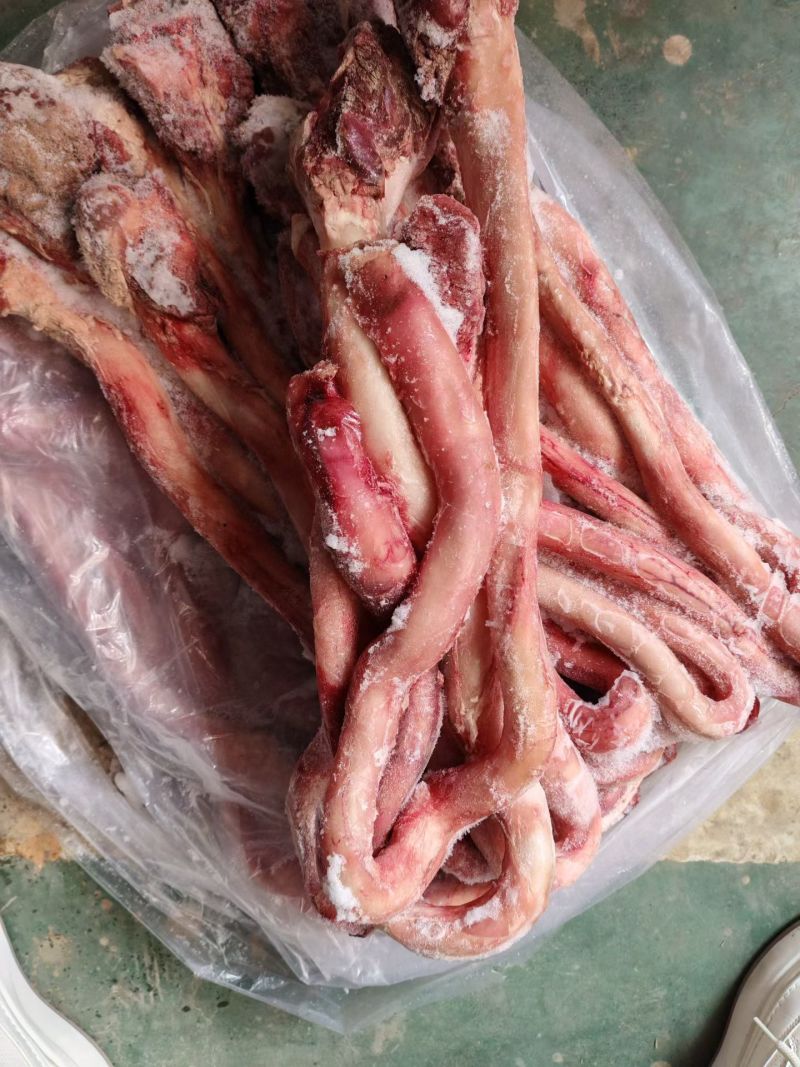 精品小根牛鞭