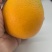 纽荷尔脐橙