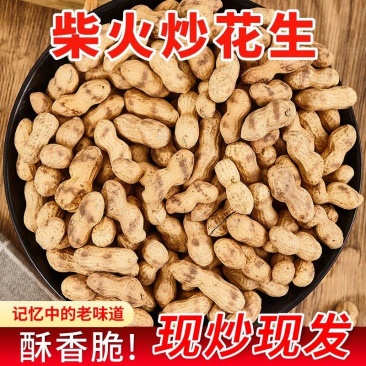 柴火炒花生原味花生带壳红皮粒花生铁锅炒无盐零食酒菜茶点柴