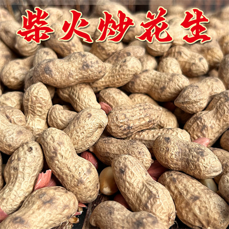 柴火炒花生原味花生带壳红皮粒花生铁锅炒无盐零食酒菜茶点柴