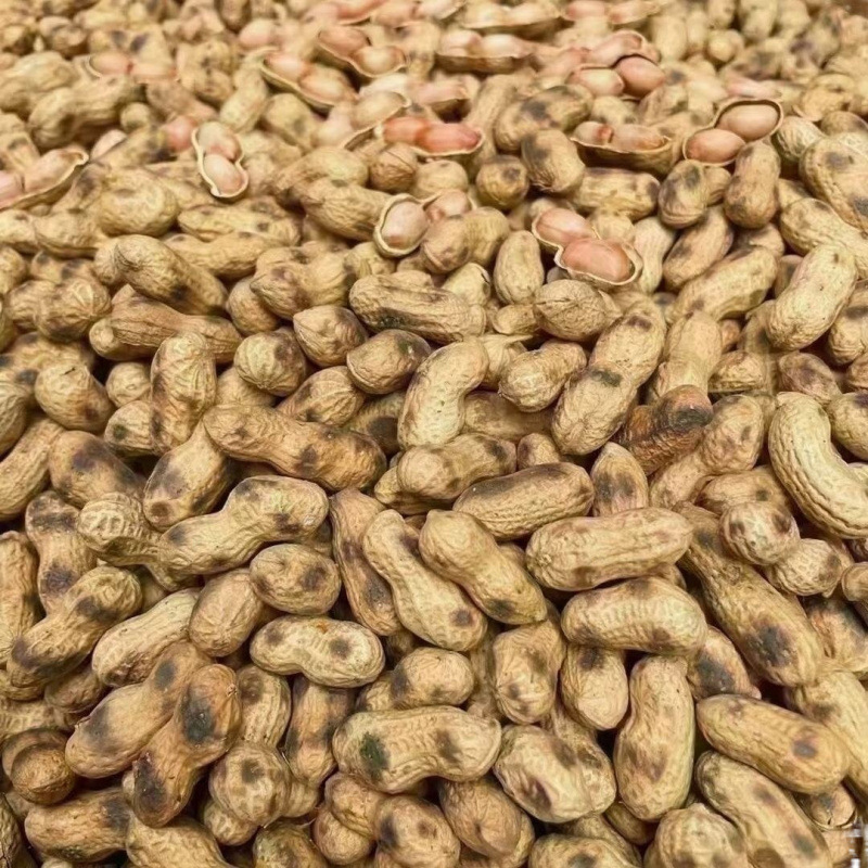 柴火炒花生原味花生带壳红皮粒花生铁锅炒无盐零食酒菜茶点柴