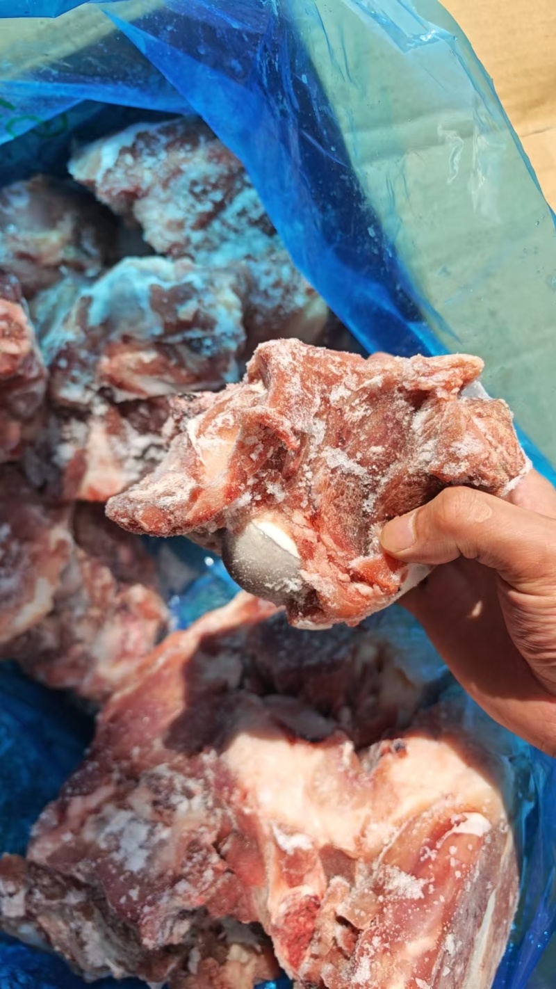 多肉前棒骨